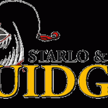 squidgy-logo